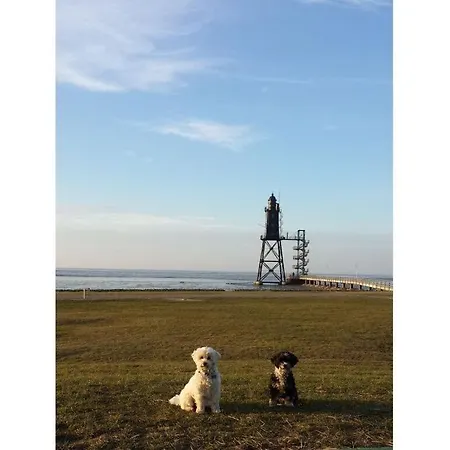 펜션 Lisa Comfortable 도룸