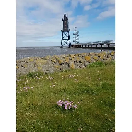 Lisa Comfortable 도룸